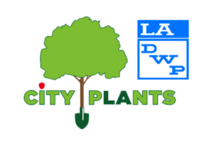 City Plants